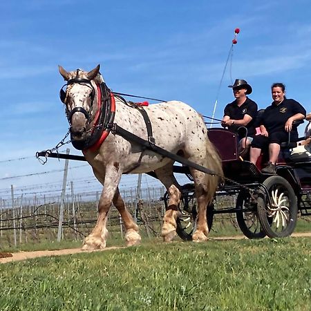 Penzion Horse Farm Lechovice מראה חיצוני תמונה