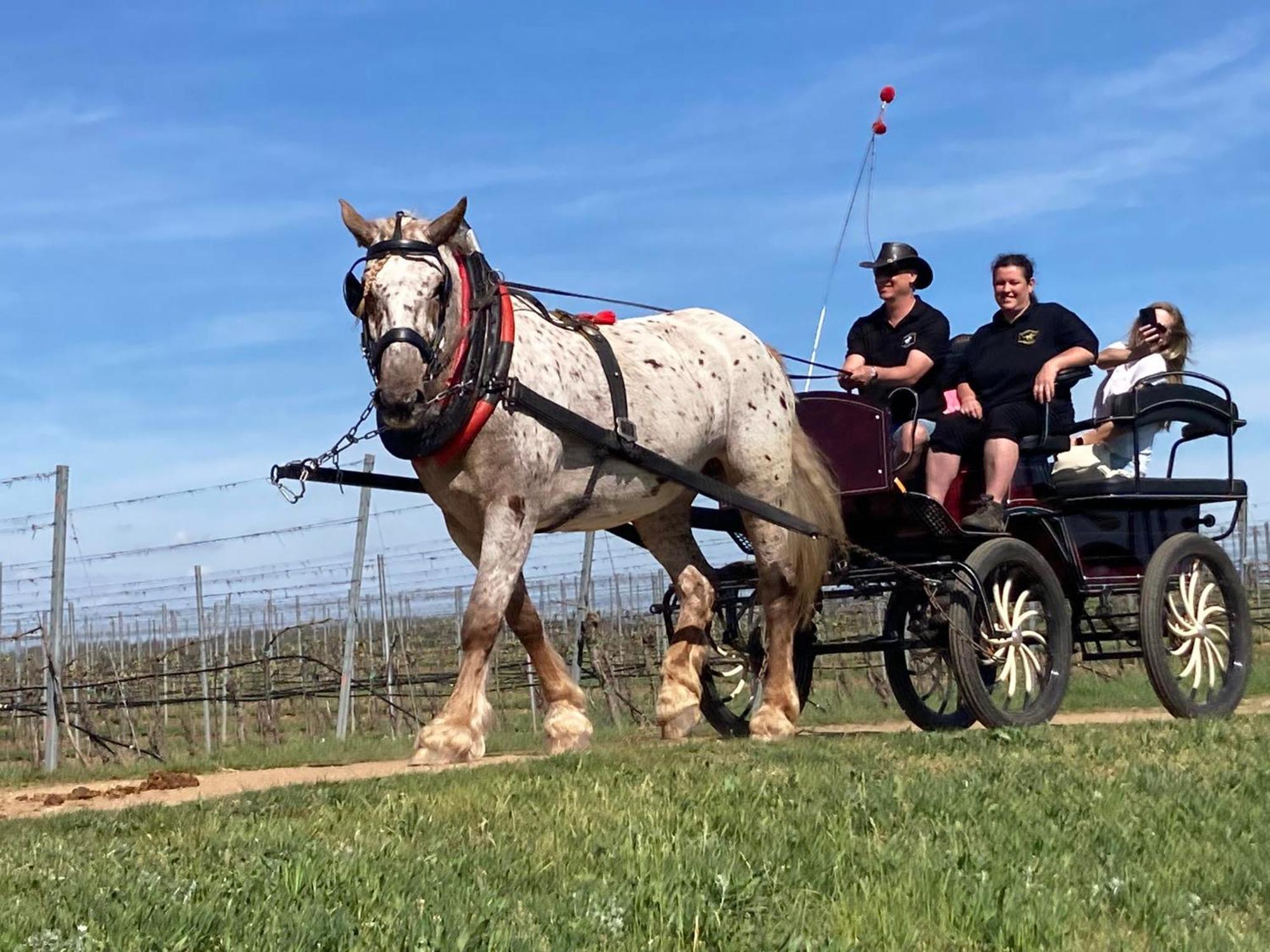Penzion Horse Farm Lechovice מראה חיצוני תמונה